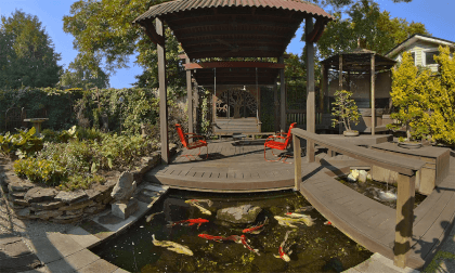 The Immersive Koi Pond Serenity VR Video The Immersive Koi Pond Serenity VR