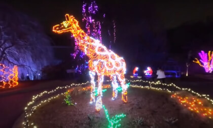 Garden of Lights at Brookside Gardens 3D 180 VR VR Video Garden of Lights at Brookside Gardens 3D 180 VR VR