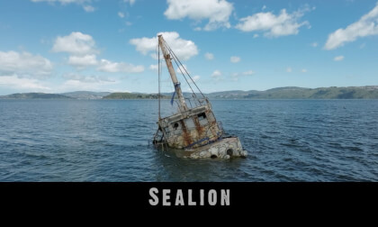 Sealion Sealion