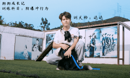 Dog Growth School Episode 1 Explosion proof Behavior Dog Growth School Episode 1 Explosion proof Behavior