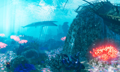 Wonderful Underwater Journey 8K VR Video Wonderful Underwater Journey 8K VR