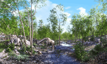 Forest Adventure 8K Forest Adventure 8K