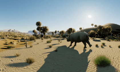 Desert Adventure 8K Desert Adventure 8K