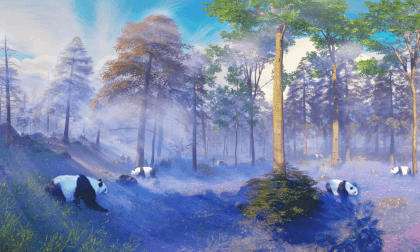 Panda morning exercise 8K Panda morning exercise 8K