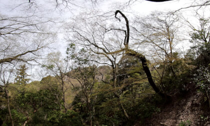 Wakakusayama Rest Area (Nara, Japan) - 若草山休憩所 VR Video Wakakusayama Rest Area (Nara, Japan) - 若草山休憩所 VR