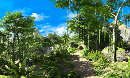 Deep In The Forest 8K Deep In The Forest 8K