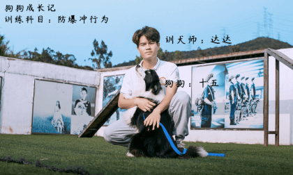 Dog Growth School Episode 2 Explosion proof Behavior Dog Growth School Episode 2 Explosion proof Behavior