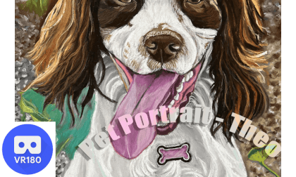 Pet Portrait Timelapse 3D 180VR Pet Portrait Timelapse 3D 180VR