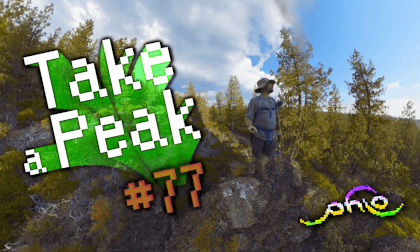 Take a Peak 77