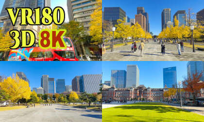 Autumn Leaves in Marunouchi and Gyoko avenue,TOKYO,Japan