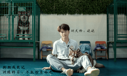 Dog Growth School Episode 4  Don't eat randomly Dog Growth School Episode 4  Don't eat randomly