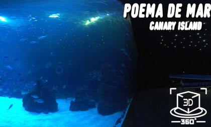 Poema del Mar Aquarium - Relax in 3D