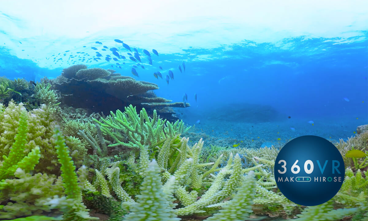 Underwater 360VR at Okinawa, Japan -Travel JAPAN-