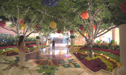 VR180 Wynn VR Vegas Virtual 3D VR Video VR180 Wynn VR Vegas Virtual 3D VR