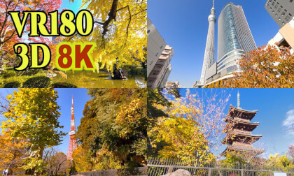 Autumn Foliage Scenery in Tokyo Various locations