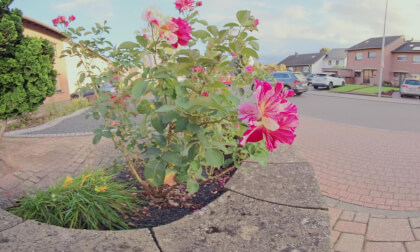 test vr180 - Canon R5 Mark ii - Dual Fisheye 5.2 VR Video test vr180 - Canon R5 Mark ii - Dual Fisheye 5.2 VR