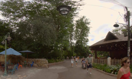 Animal Kingdom Walkthrough at Disney World Animal Kingdom Walkthrough at Disney World