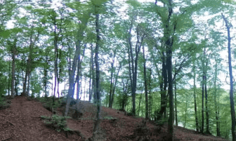 Teliu Padure VR Video Teliu Padure VR