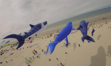 Fantastic FPV flying near BIG Kites at the France Kite Festival by ShramkoFPV, capturing incredible footage near the sea Fantastic FPV flying near BIG Kites at the France Kite Festival by ShramkoFPV, capturing incredible footage near the sea