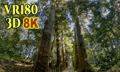 A magnificent cedar-lined approach to the Hiyoshi shrine in Togane-city,Chiba,Japan VR Video A magnificent cedar-lined approach to the Hiyoshi shrine in Togane-city,Chiba,Japan VR