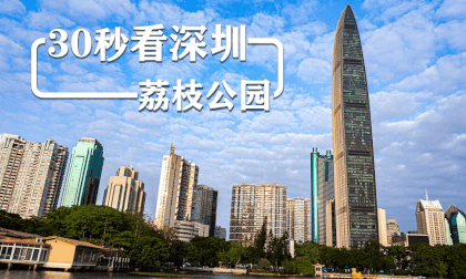 30 seconds to see Shenzhen - Litchi Park  8K VR Video 30 seconds to see Shenzhen - Litchi Park  8K VR