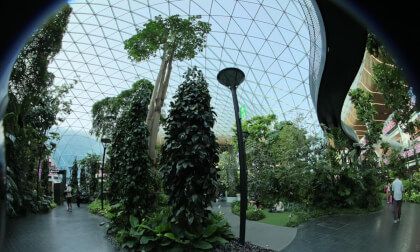 test footage Qatar Airport VR Video test footage Qatar Airport VR