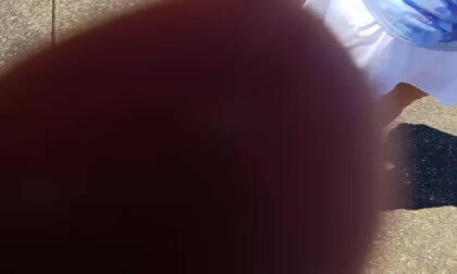 SV_20240921_113005 VR Video SV_20240921_113005 VR