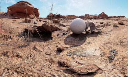 Meerkat Madness (Unreal Engine VR180 Demo)