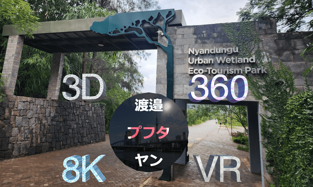 Nyandungu Urban Wetland Eco-tourism Park "Sightseeing in Rwanda" 360° 3D 8K