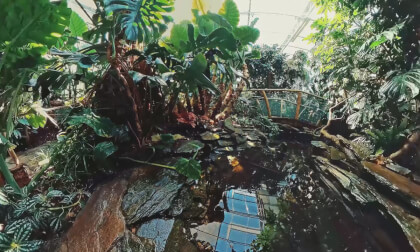 Opole Zoo Frog Kingdom, Tropical Toads and Frogs, Birds and Turtles VR Video Opole Zoo Frog Kingdom, Tropical Toads and Frogs, Birds and Turtles VR