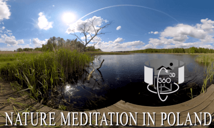 Nature meditation in 3D - National Park in Poland