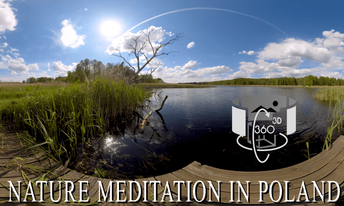 Nature meditation in 3D - National Park in Poland