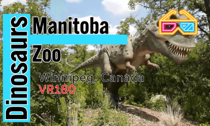 Dinosaurs section - Manitoba Zoo, Vuze XR, VR 180° (5.7K), Winnipeg, Manitoba, Canada - Watch in 3D VR Video Dinosaurs section - Manitoba Zoo, Vuze XR, VR 180° (5.7K), Winnipeg, Manitoba, Canada - Watch in 3D VR