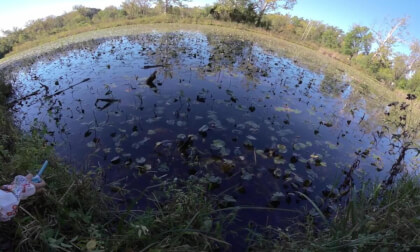 Discover EcoLab Part II - Vuze XR, VR 180° (5.7K), Indianapolis, Indiana, USA - Watch in 3D VR Video Discover EcoLab Part II - Vuze XR, VR 180° (5.7K), Indianapolis, Indiana, USA - Watch in 3D VR