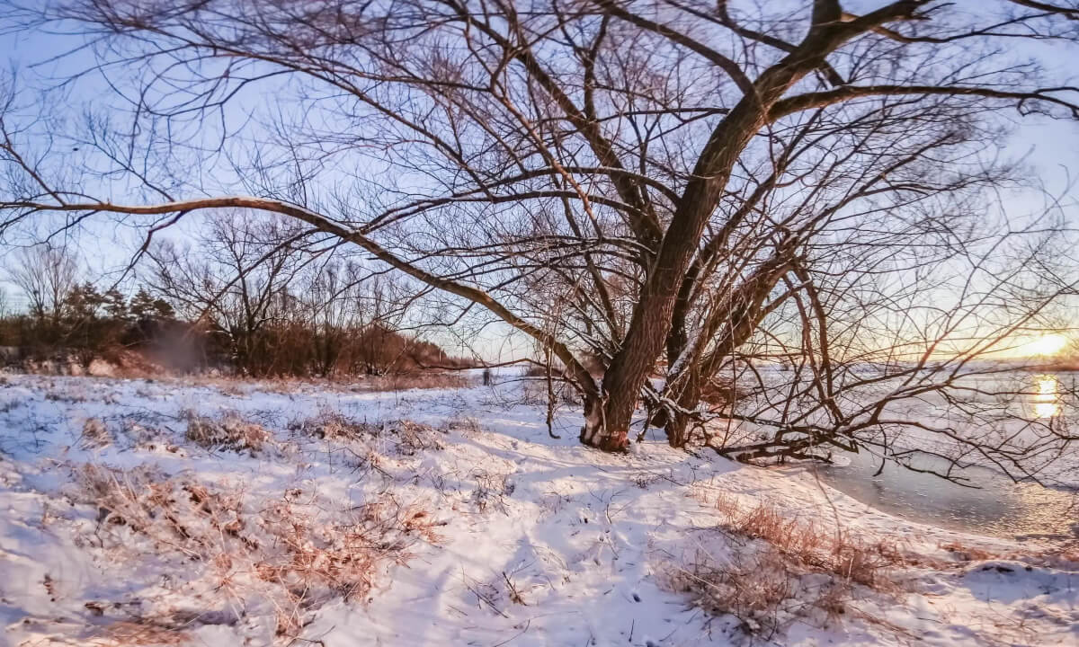 Experience Opole in a New Light: Enjoy the Magic of Winter with Our 360° Timelapse Video! 2017