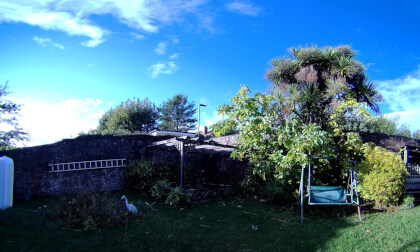 Garden Test CALF Visinse VR Video Garden Test CALF Visinse VR