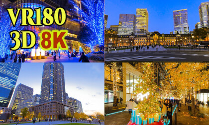 Tokyo Christmas illuminations ( Tokyo station - Marunouchi - Hibiya )
