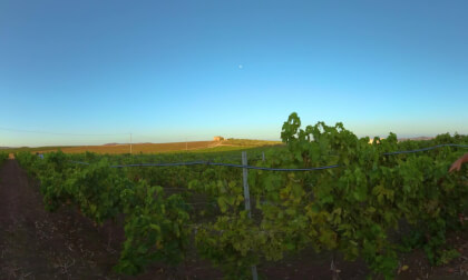 VENDEMMIA SICILIANA - BAGLIO CURATOLO ARINI - VR EXPERIENCE VENDEMMIA SICILIANA - BAGLIO CURATOLO ARINI - VR EXPERIENCE