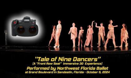 Tale of Nine Dancers (3D 8K VR180) VR Video Tale of Nine Dancers (3D 8K VR180) VR