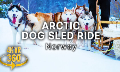 Arctic Dog Sled Ride - 4K 360 VR Video!