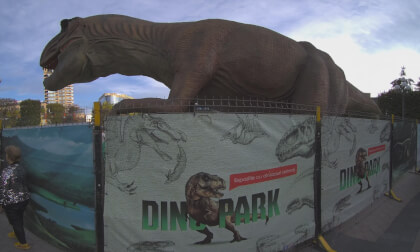 CALF 1 - 8K mod via firmware port VR Video CALF 1 - 8K mod via firmware port VR