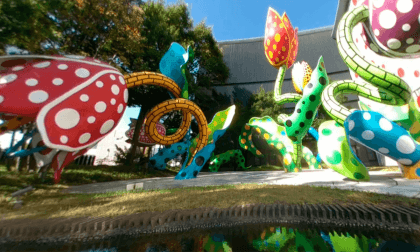 Yayoi Kusama, The Visionary Flowers at the Matsumoto City Museum of Art in Nagano, Japan Yayoi Kusama, The Visionary Flowers at the Matsumoto City Museum of Art in Nagano, Japan