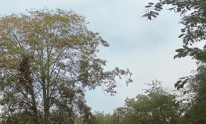 Grillhut (8k, 360, 3D) VR Video Grillhut (8k, 360, 3D) VR