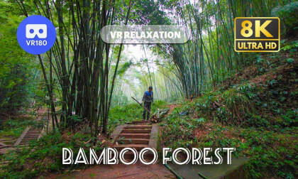 Relax your mind in Shunan Bamboo Forest 蜀南竹海 | Sichuan | 8K 3D 180 Relax your mind in Shunan Bamboo Forest 蜀南竹海 | Sichuan | 8K 3D 180