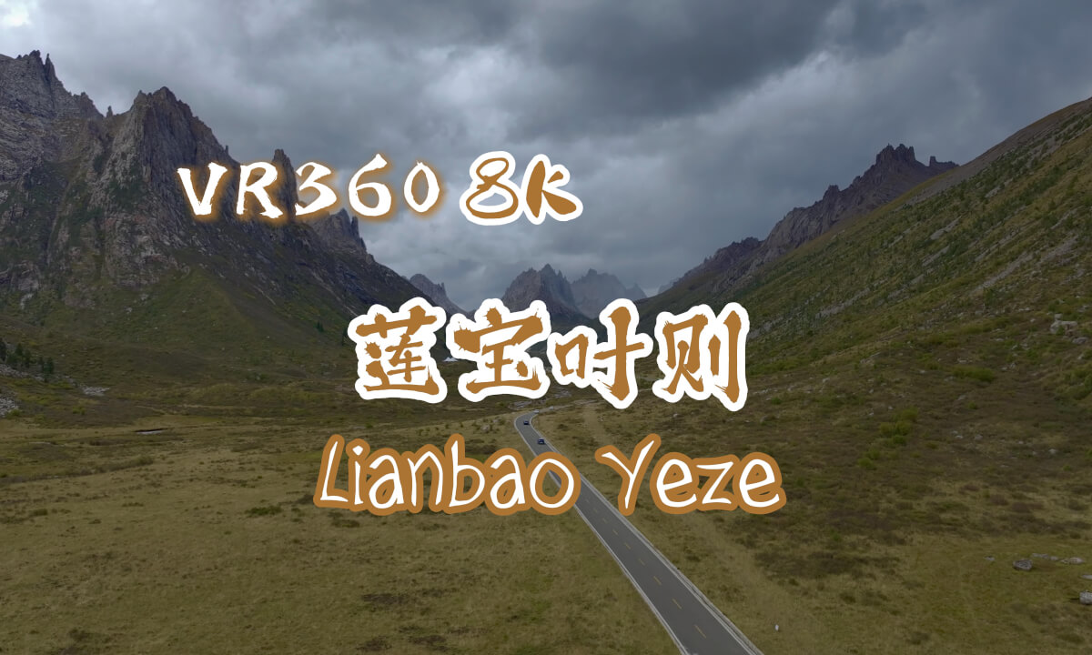 【VR 8K SDR】莲宝叶则 Lianbao Yeze