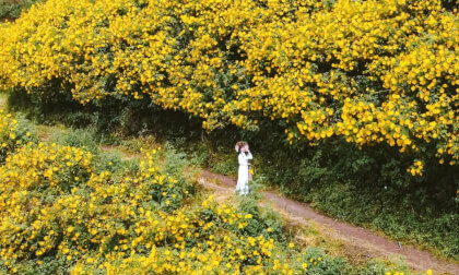 TUNGART wedding VR Video TUNGART wedding VR