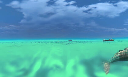 VIDEO INMERSIVO 360 BALLENAS VR Video VIDEO INMERSIVO 360 BALLENAS VR