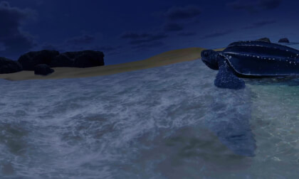 VIDEO INMERSIVO 360 TORTUGAS VR Video VIDEO INMERSIVO 360 TORTUGAS VR