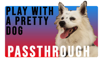 Play with a Pretty Dog (Passthrough) Play with a Pretty Dog (Passthrough)