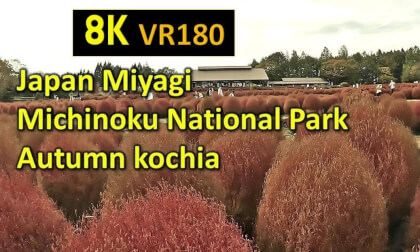 Japan Miyagi Michinoku National Park Autumn kochia VR Video Japan Miyagi Michinoku National Park Autumn kochia VR